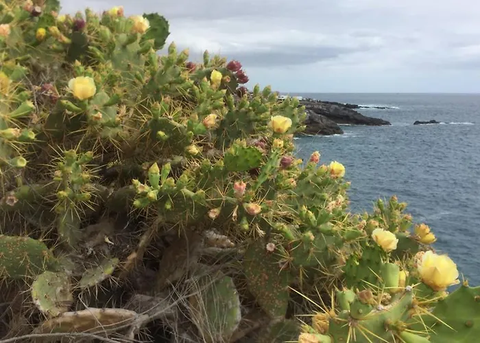Wonderful View Appartamento Costa Adeje (Tenerife)