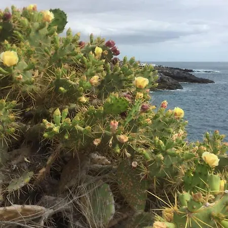 Wonderful View Διαμέρισμα Costa Adeje (Tenerife)